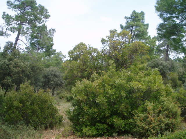 697_fincas-en-venta-22