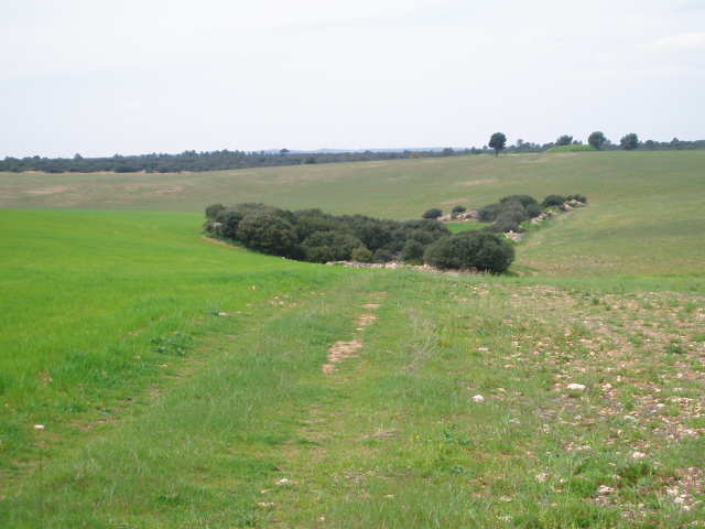 697_fincas-en-venta-24