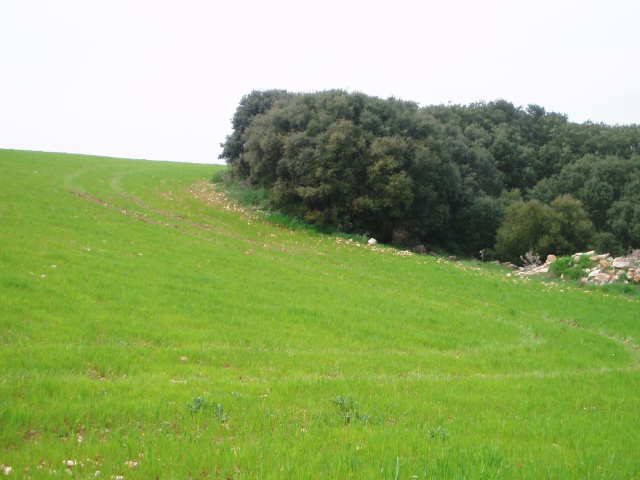 697_fincas-en-venta-25
