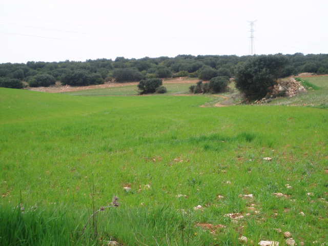 697_fincas-en-venta-26