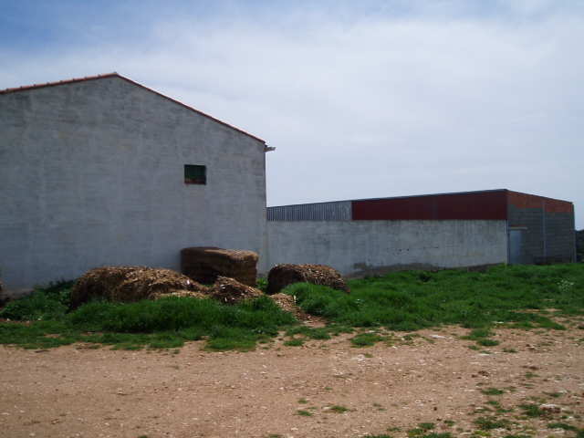 697_fincas-en-venta-4