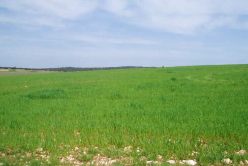 697_fincas-en-venta-5