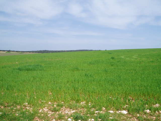 697_fincas-en-venta-5