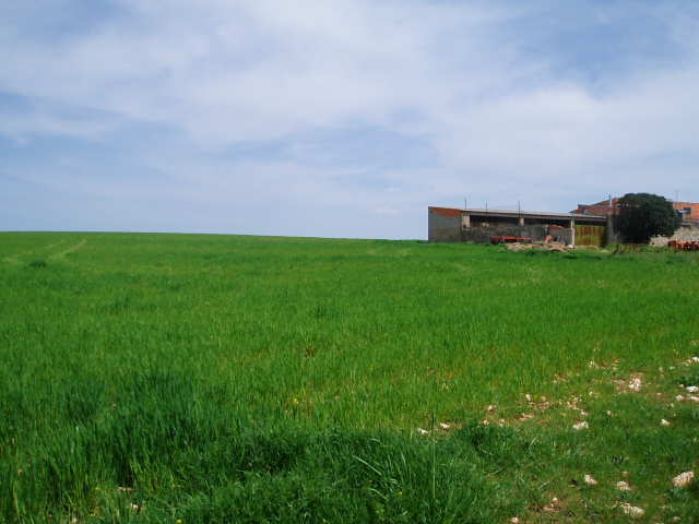 697_fincas-en-venta-6