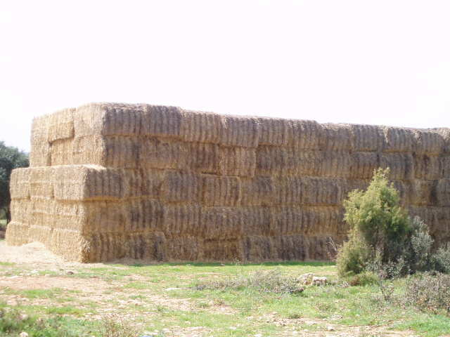 697_fincas-en-venta-8