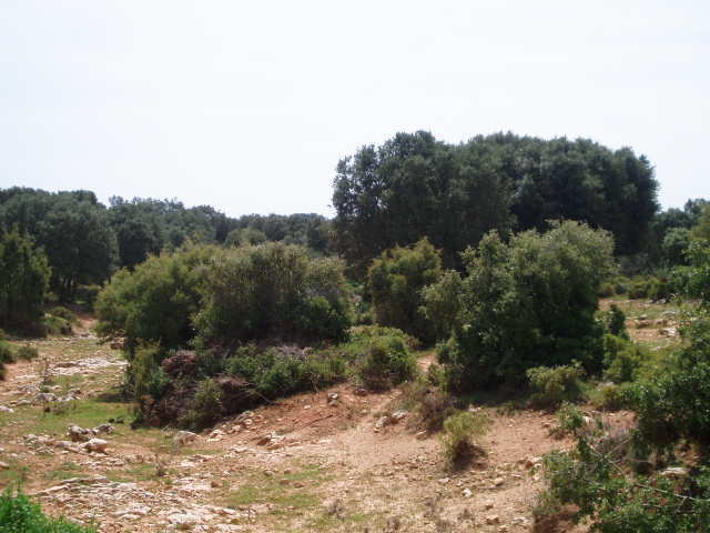 697_fincas-en-venta-9