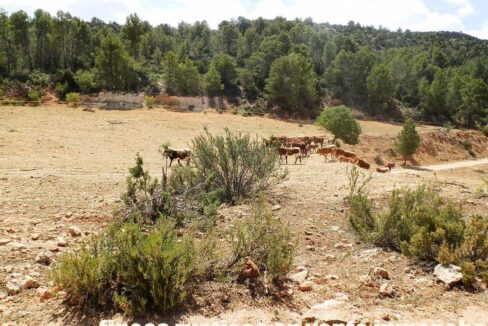 699_fincas-en-venta-005