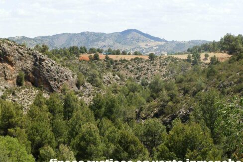 699_fincas-en-venta-017