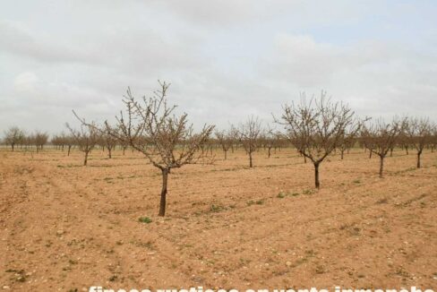 703_fincas-en-venta-0022