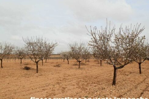 703_fincas-en-venta-0026