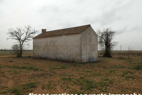 703_fincas-en-venta-0034
