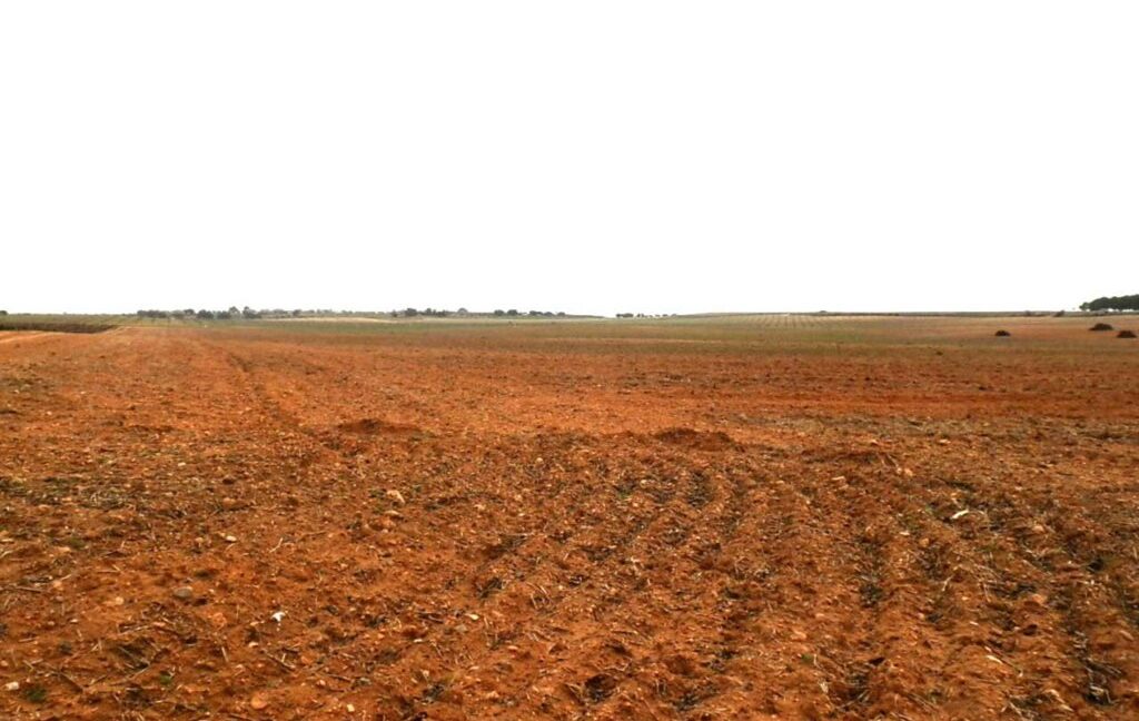 703_fincas-en-venta-0037