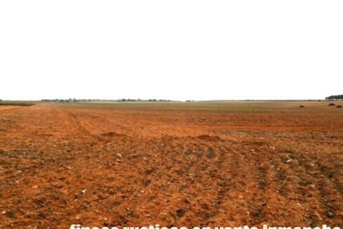 703_fincas-en-venta-0037