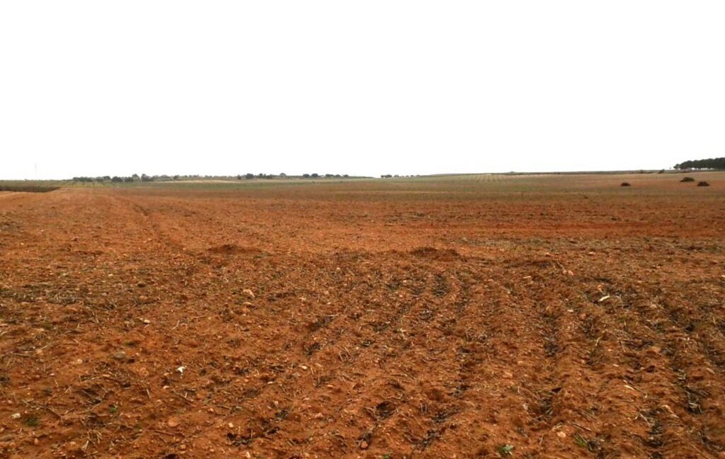 703_fincas-en-venta-0038