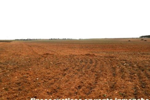 703_fincas-en-venta-0038