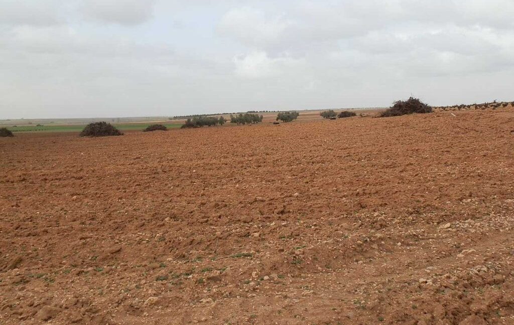 703_fincas-en-venta-0039