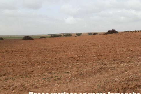 703_fincas-en-venta-0039