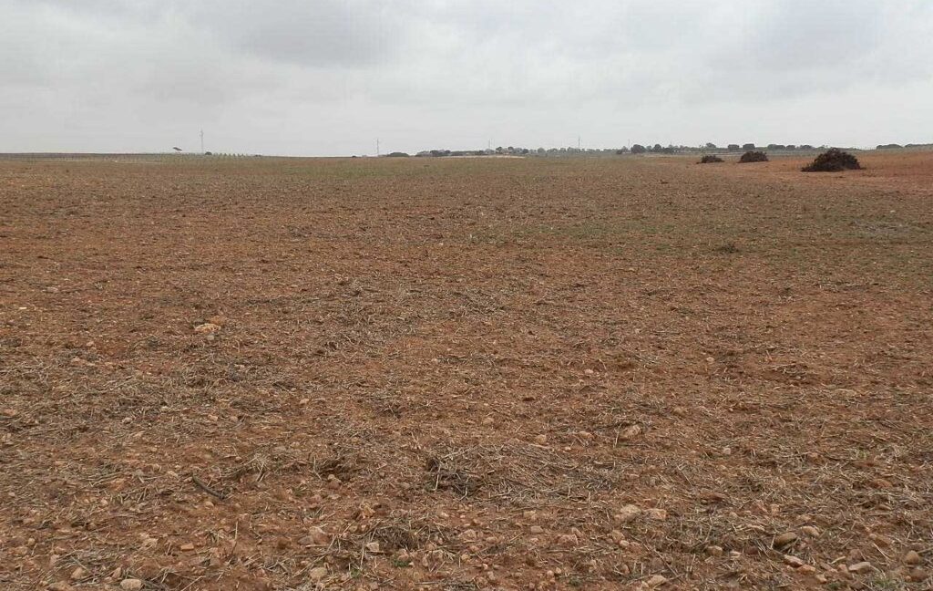 703_fincas-en-venta-0041