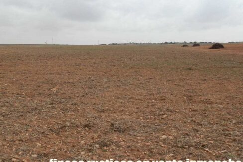 703_fincas-en-venta-0041