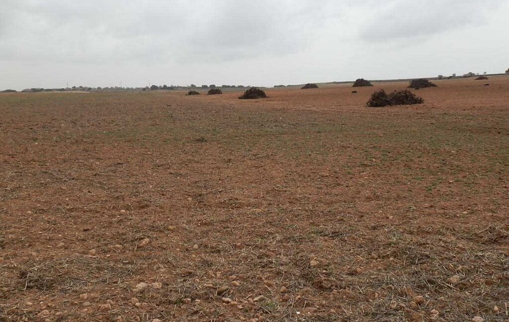 703_fincas-en-venta-0042