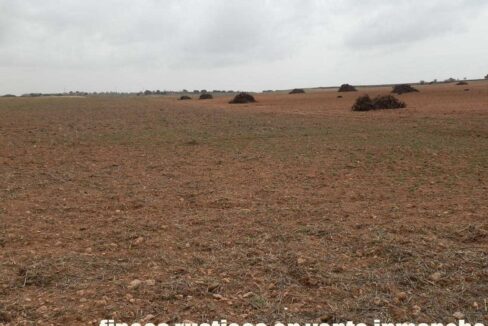 703_fincas-en-venta-0042