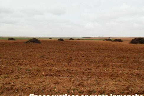 703_fincas-en-venta-0044