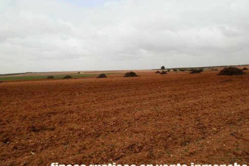 703_fincas-en-venta-0045