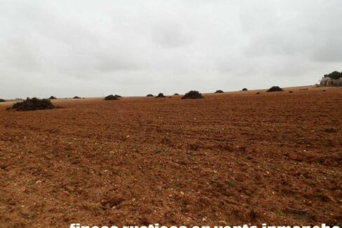 703_fincas-en-venta-0047