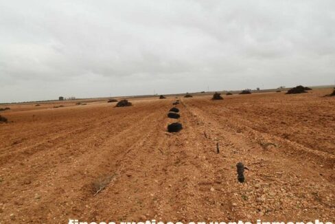 703_fincas-en-venta-0049