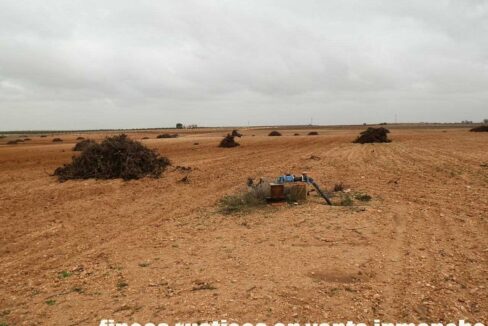 703_fincas-en-venta-0051