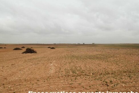 703_fincas-en-venta-0052