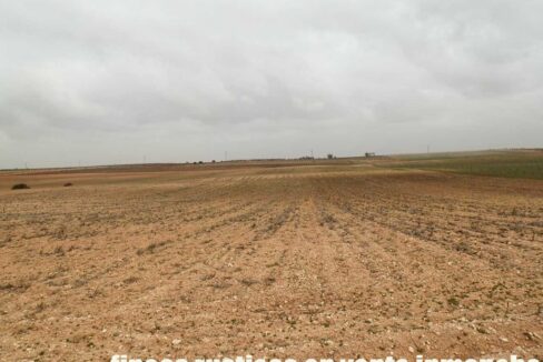 703_fincas-en-venta-0053