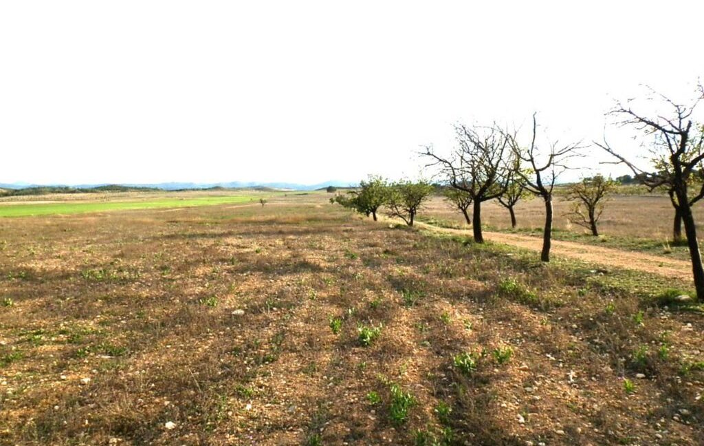 704_fincas-en-venta-087