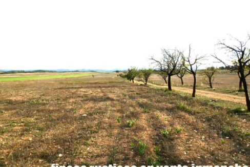 704_fincas-en-venta-087