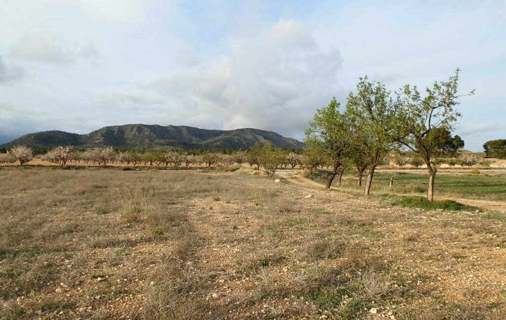 704_fincas-en-venta-090