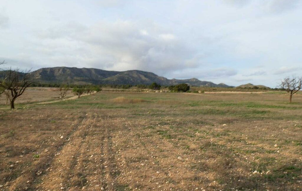 704_fincas-en-venta-092