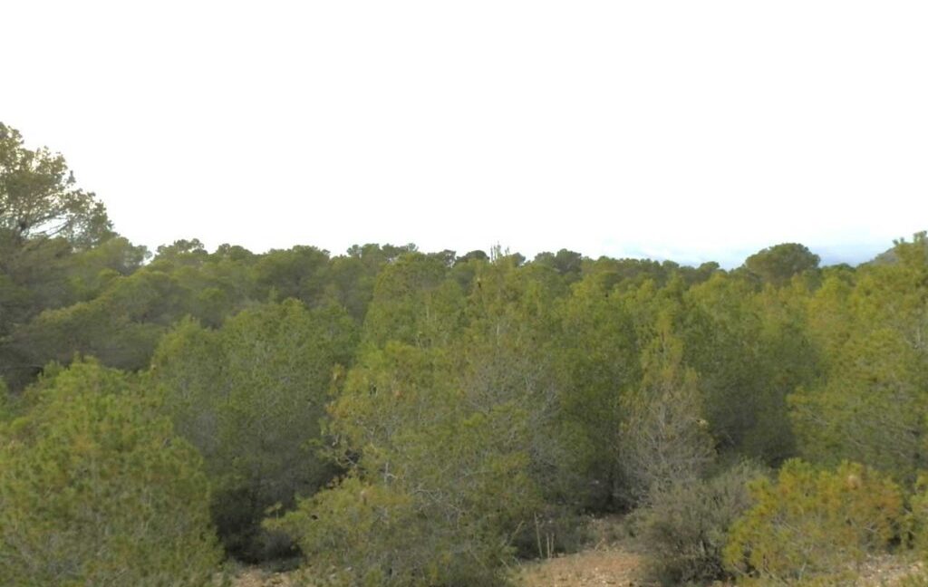704_fincas-en-venta-114