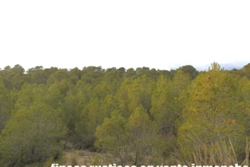 704_fincas-en-venta-115