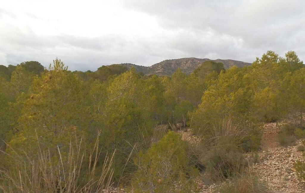 704_fincas-en-venta-116