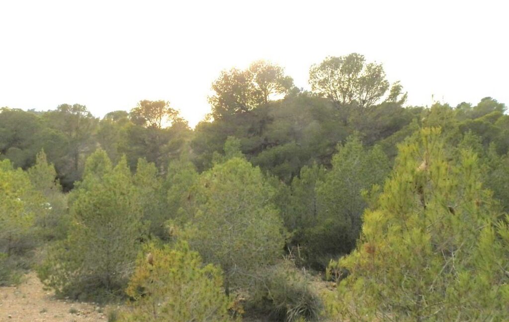 704_fincas-en-venta-117