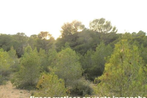 704_fincas-en-venta-117