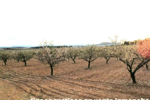 704_fincas-en-venta-123