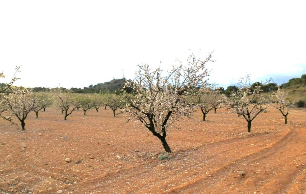 704_fincas-en-venta-125