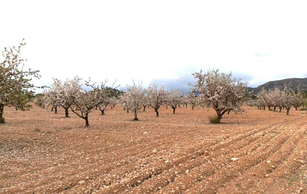 704_fincas-en-venta-126