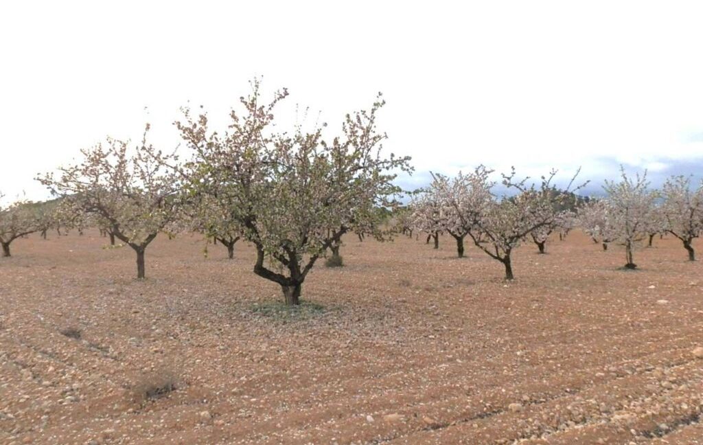 704_fincas-en-venta-127
