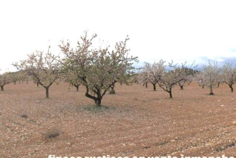 704_fincas-en-venta-127