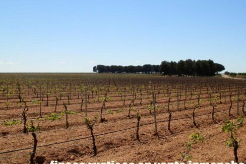 706_fincas-en-venta-003