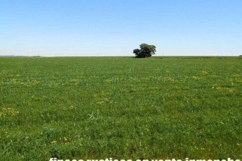 706_fincas-en-venta-024