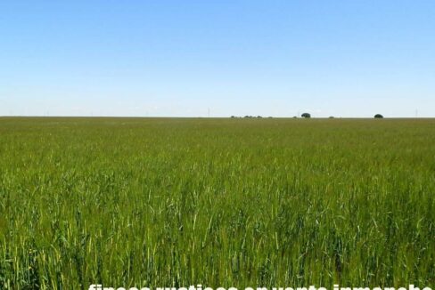 706_fincas-en-venta-028