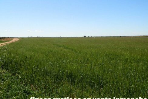 706_fincas-en-venta-030
